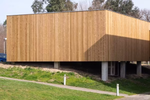 A modern rectangular building with vertical wood siding elevated on concrete pillars
