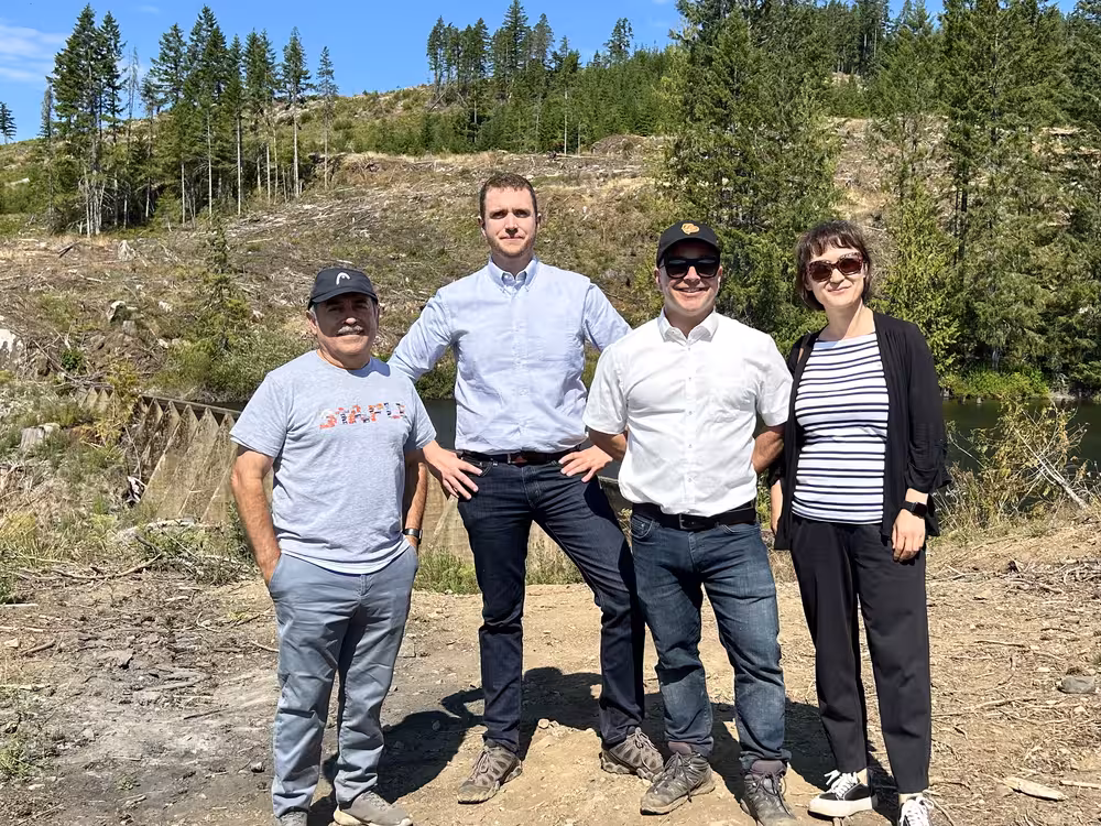 Four people standing in a clearcut