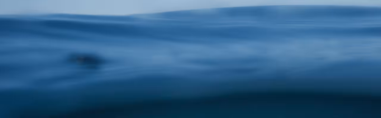 close up of wavy water