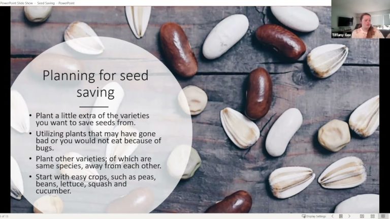 Seed Saving Webinar