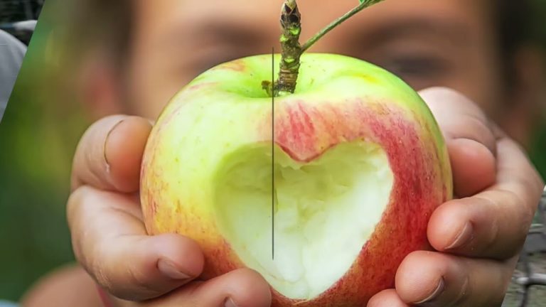 Fruit Tree Care Up Close: Pruning Safety