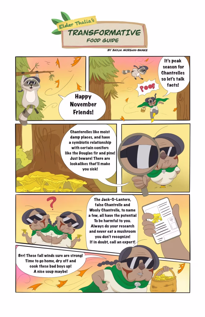 Comic strip about identifying and foraging for edible mushrooms, featuring raccoons and animated characters.