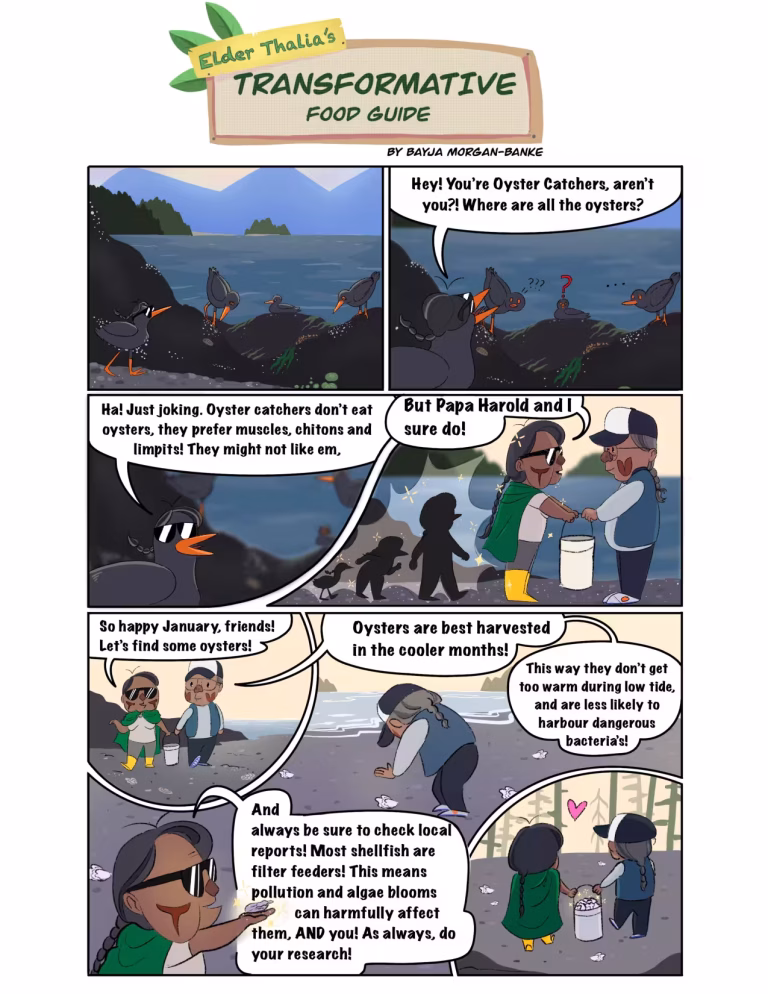 Comic strip about oyster catching and safety, featuring birds and people by the sea.
