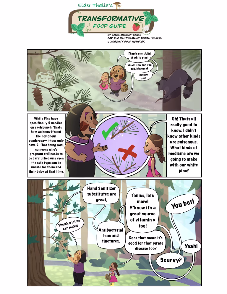 Comic strip about identifying white pine needles, with a raccoon in a tree and discussions about its uses.